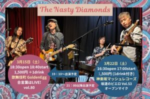 The Nasty Diamonds